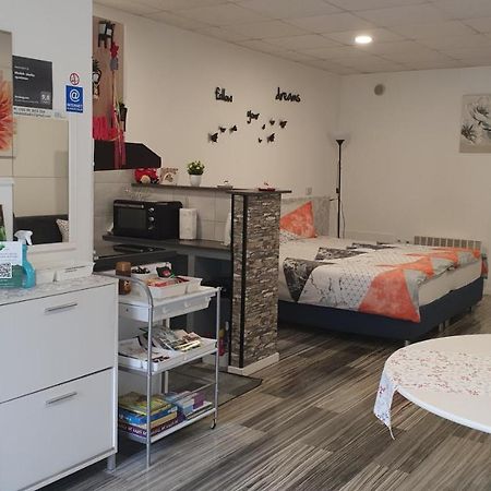 Medek- studio apartman Appartamento Krapinske Toplice Esterno foto