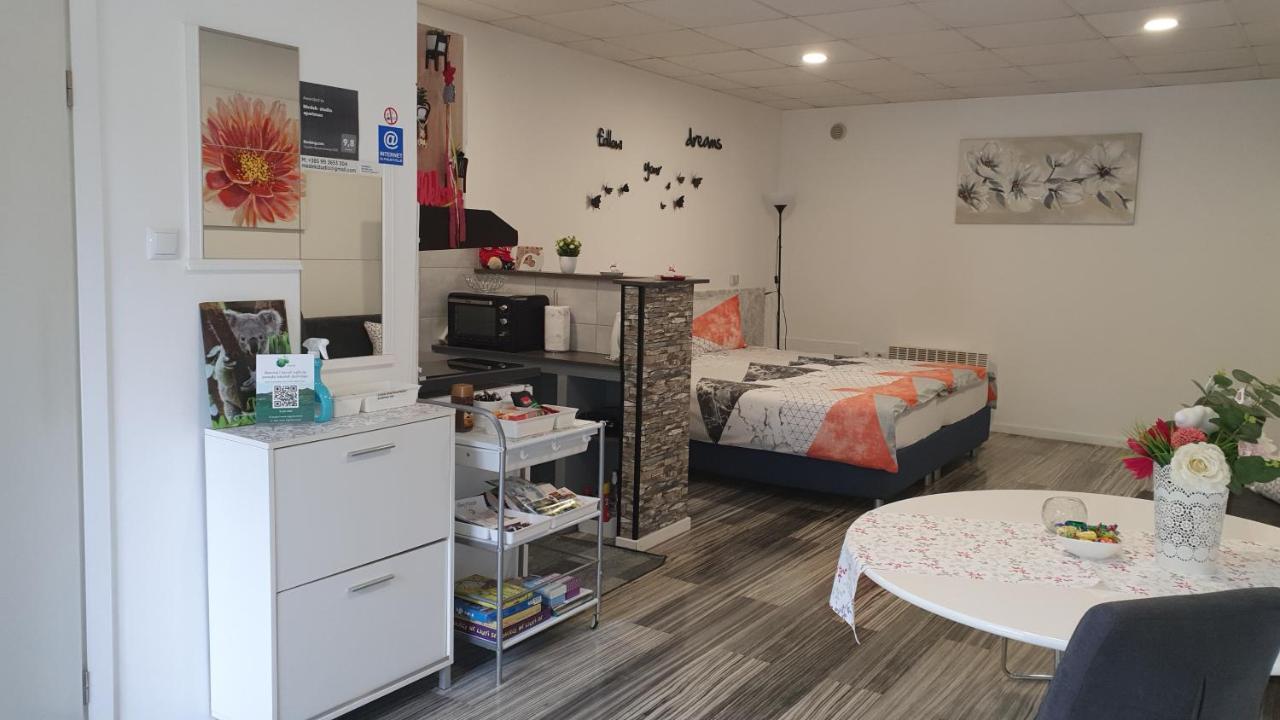 Medek- studio apartman Appartamento Krapinske Toplice Esterno foto